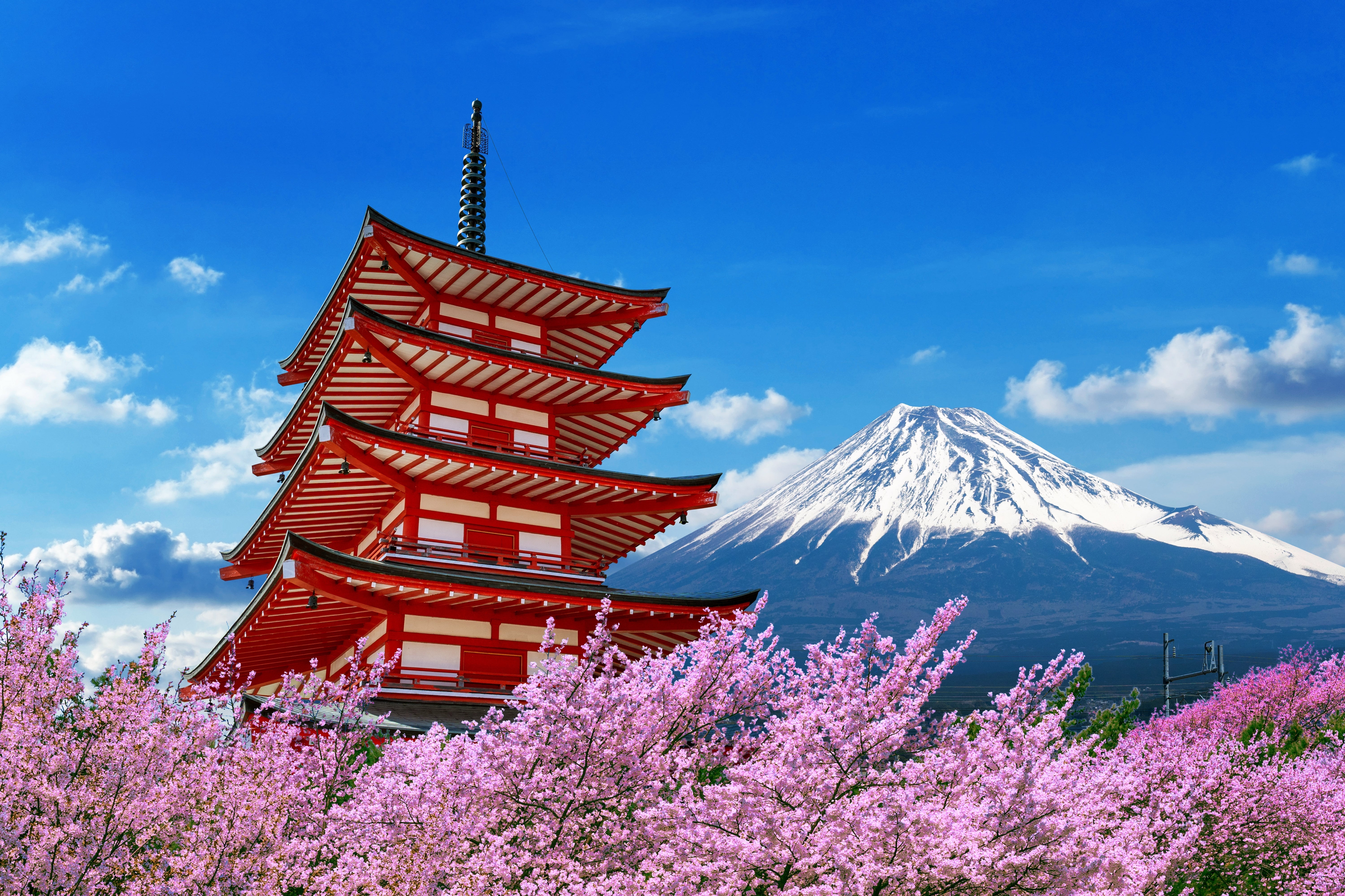 Tokyo's Must-See Neighborhoods to Explore – Tenko