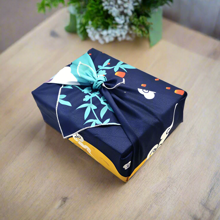 Multifunctional Furoshiki