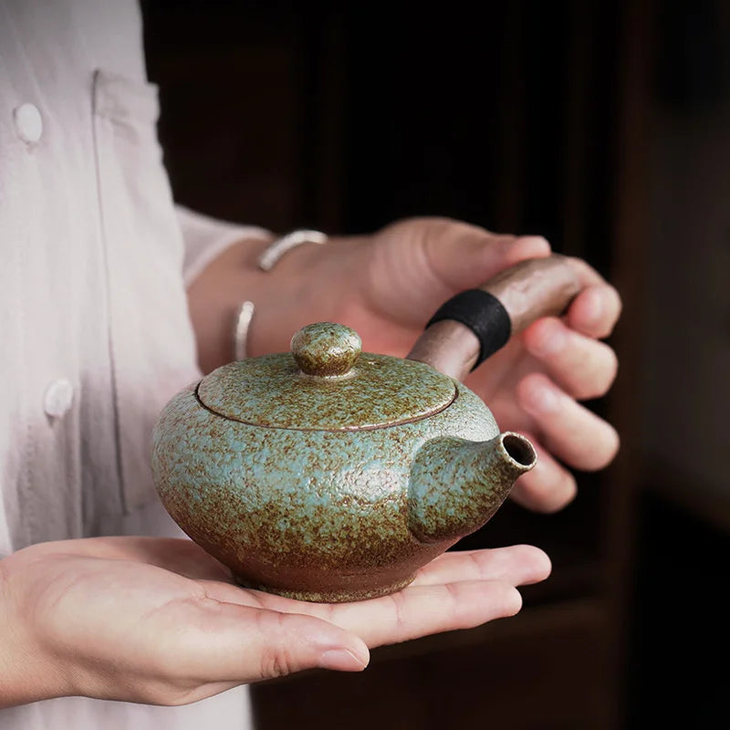 Théière Japonaise Effet Dégradé Ergonomique