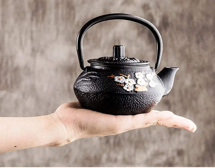 Théière Japonaise Design Ergonomique