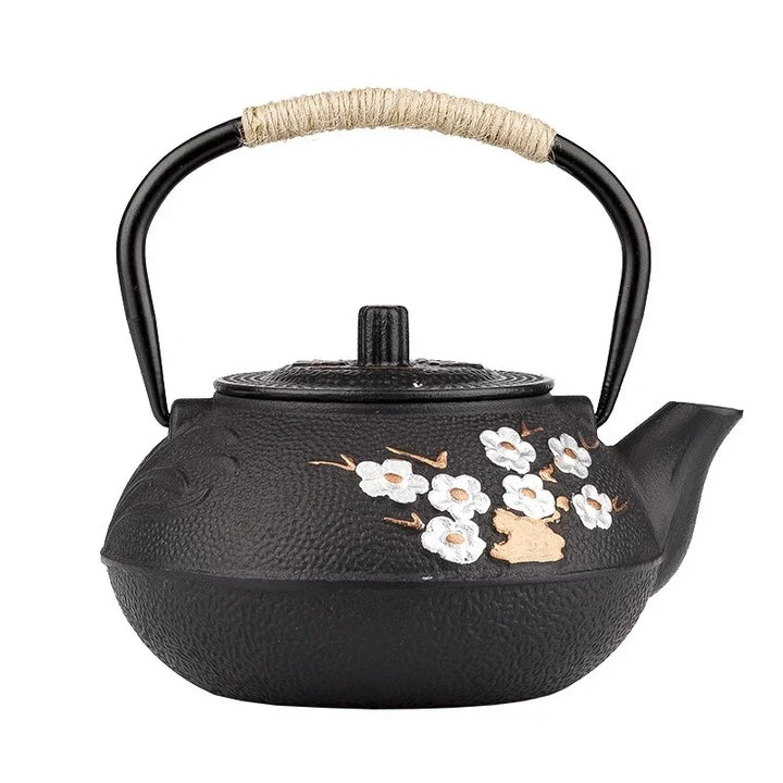 Théière Japonaise Design de Qualité