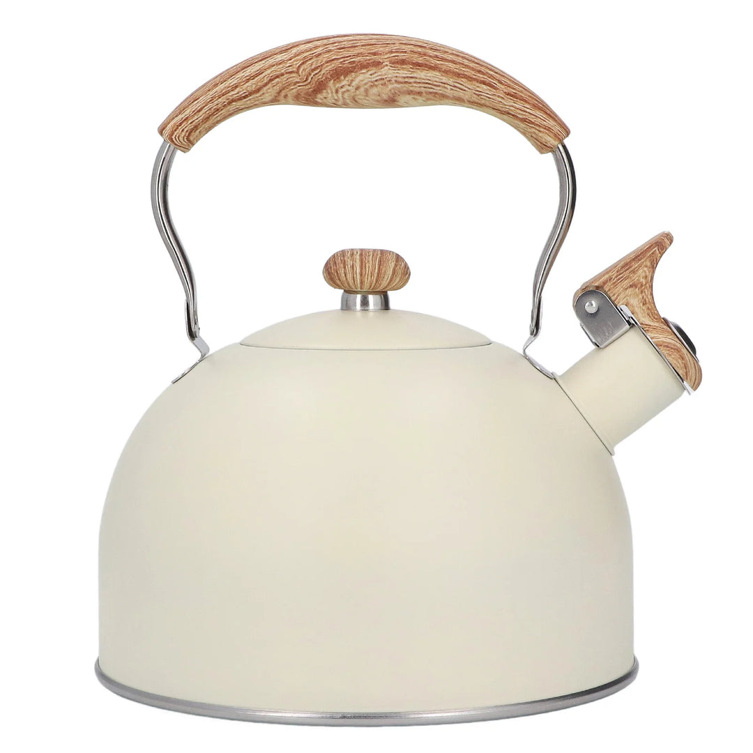 Théière Japonaise Moderne Unique