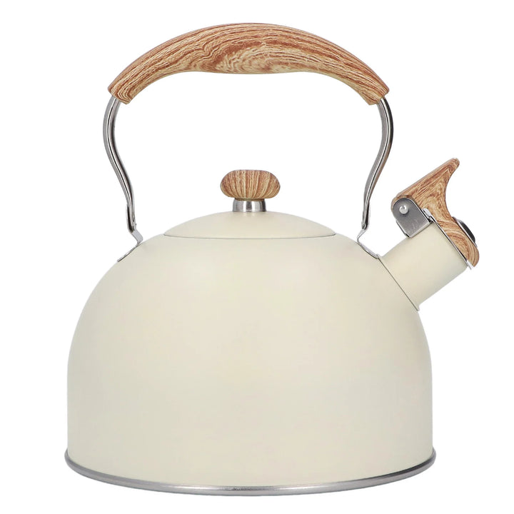 Théière Japonaise Moderne Unique