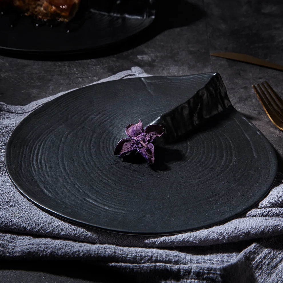 Assiette Japonaise Contemporaine