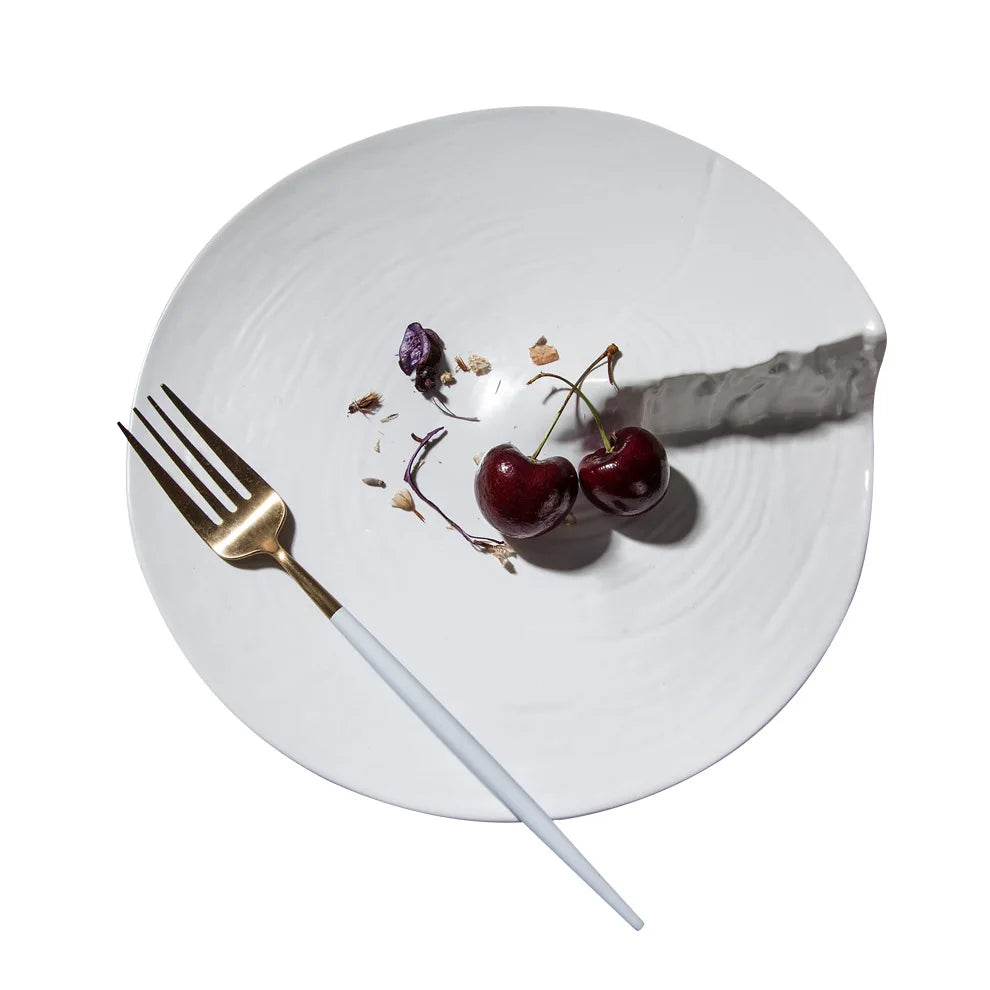 Assiette Japonaise Contemporaine Raffinées