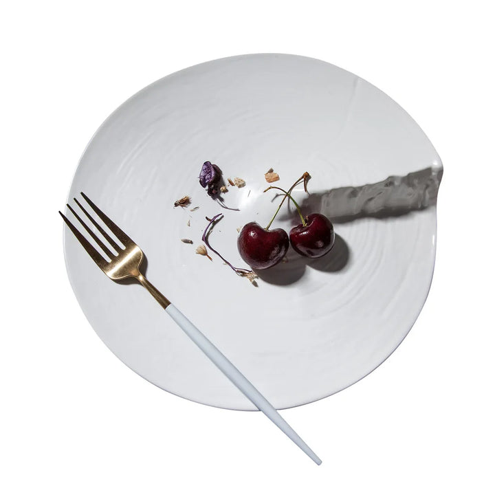 Assiette Japonaise Contemporaine Raffinées
