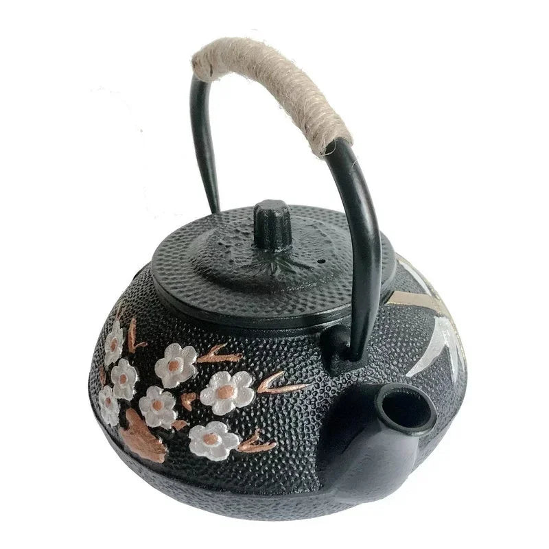 Théière Japonaise Design bec Pratique