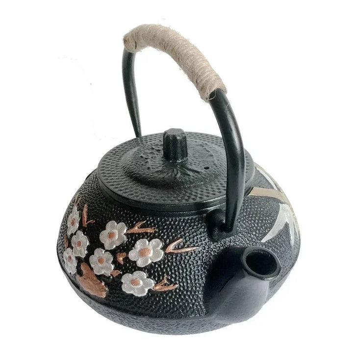 Théière Japonaise Design bec Pratique