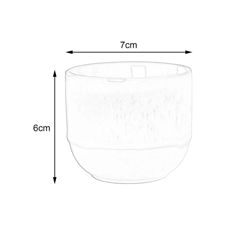 Tasse japonaise dégradée