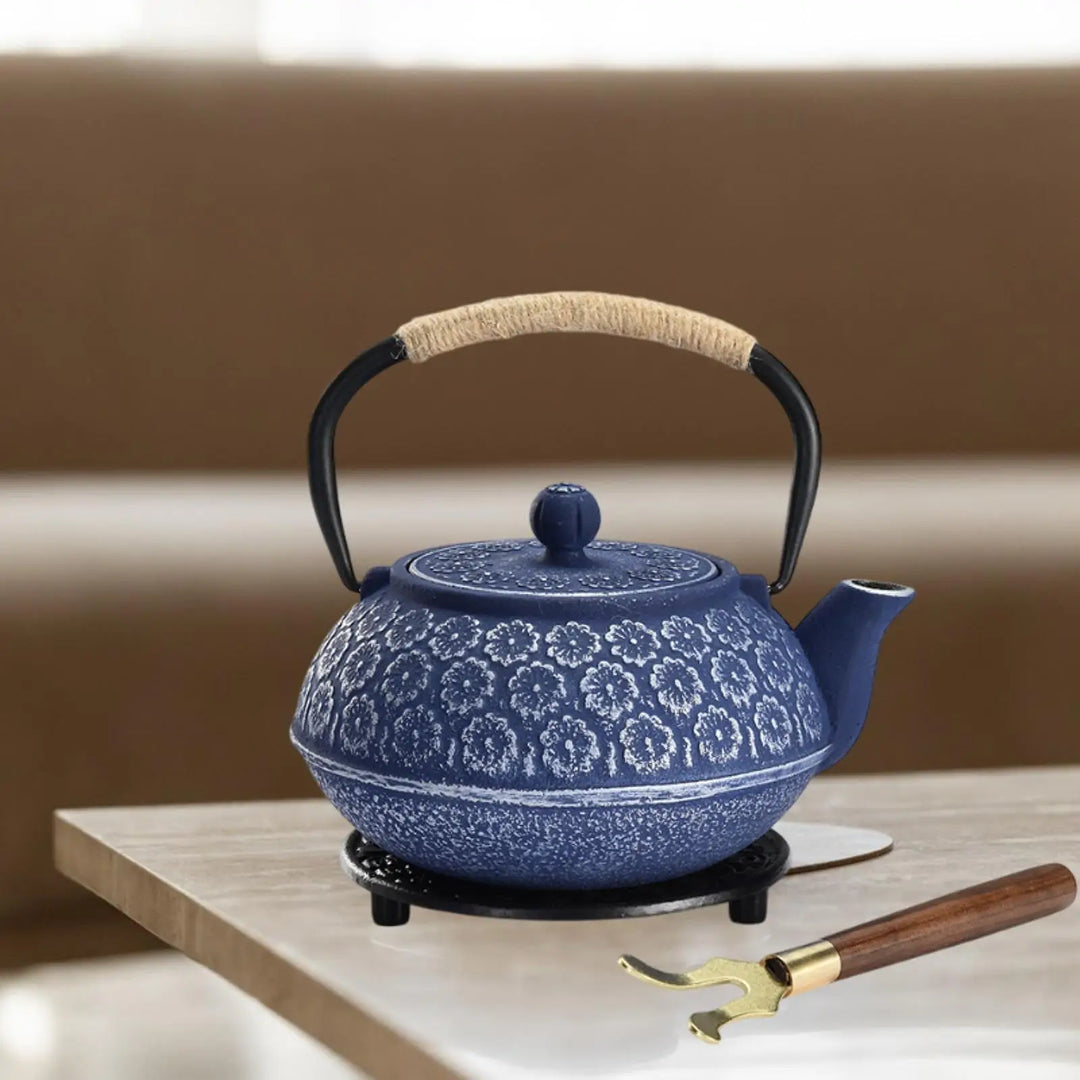 Théière en Fonte Japonaise Bleue Pratique