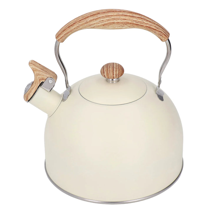 Théière Japonaise Moderne Beige