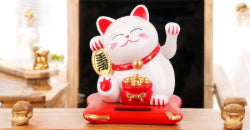 Lucky Charm