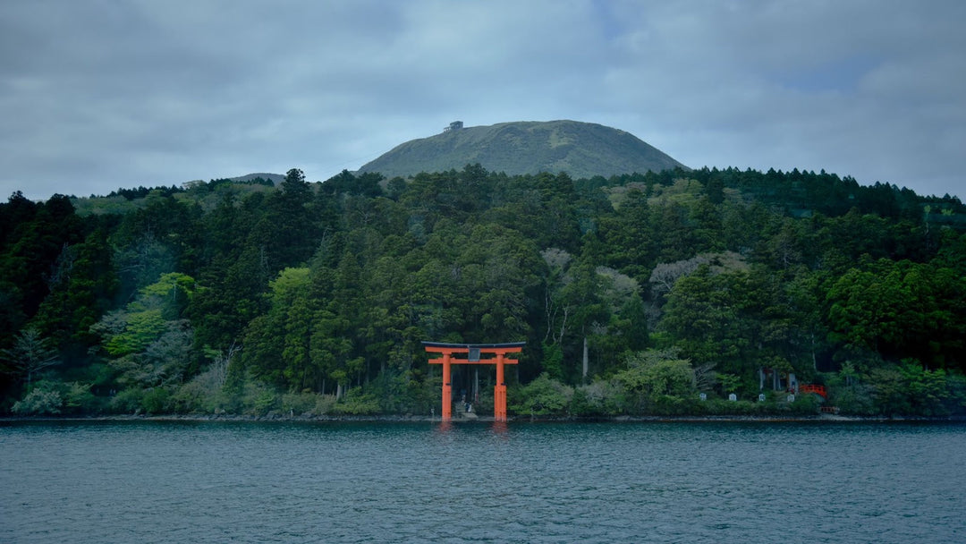 De quoi est couverte l'île d'hashima au Japon 