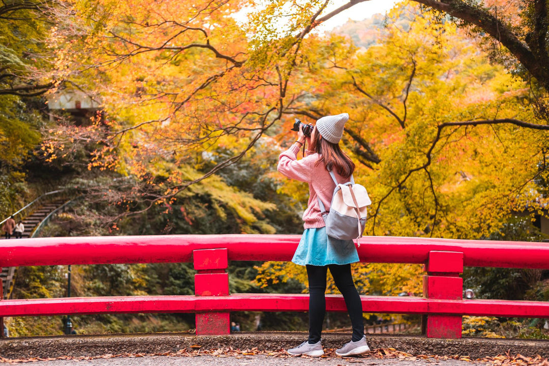 Quand partir au Japon 