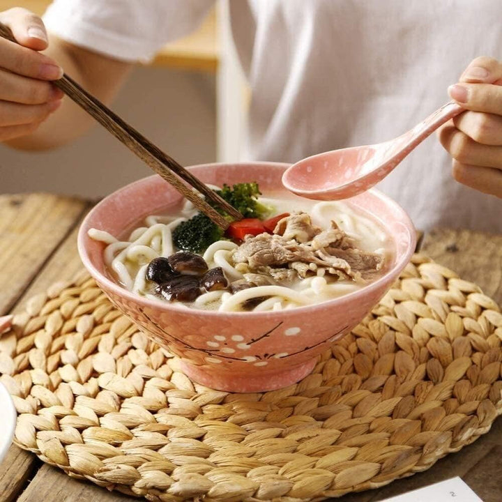 Japanische Nudelschüssel