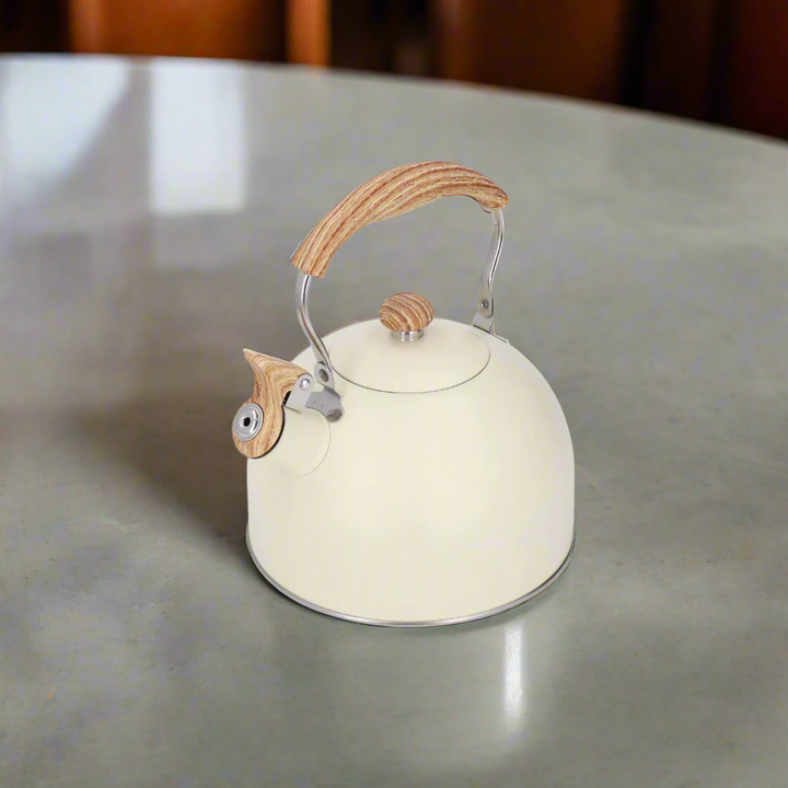 Théière Japonaise Moderne Élégante