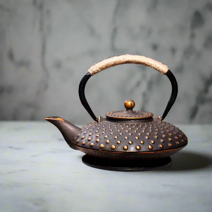 Théière Japonaise en Fonte