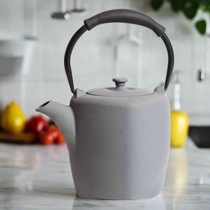 Théière Japonaise Raffinée classe