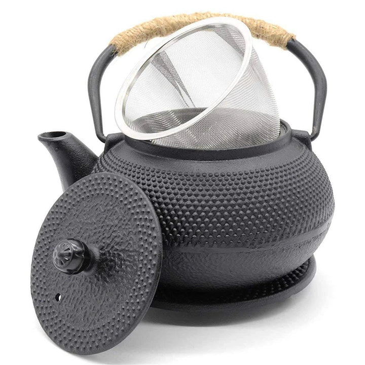 Théière japonaise avec infuseur noire