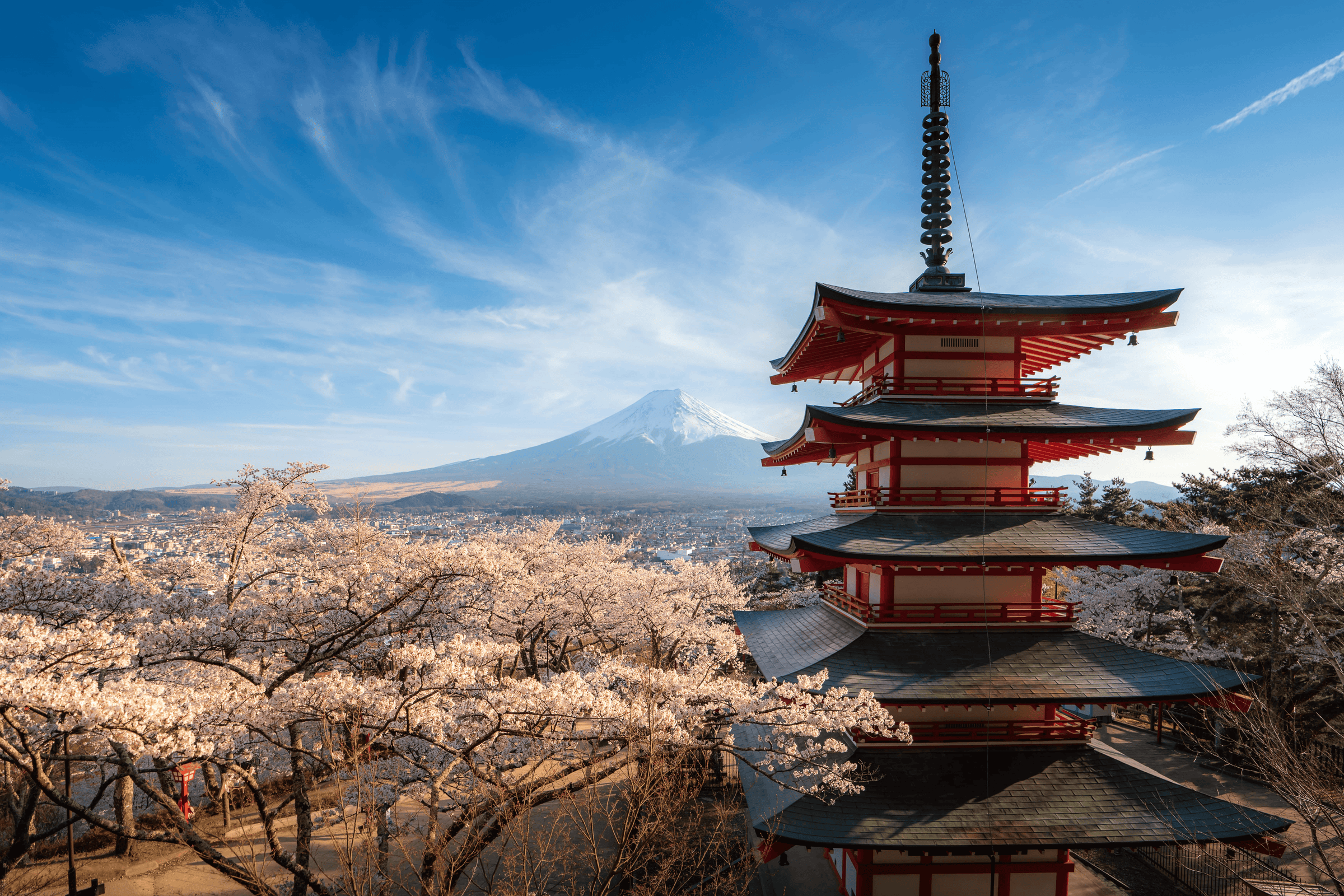 Tenko La Marque de V tements et Accessoires Japonais